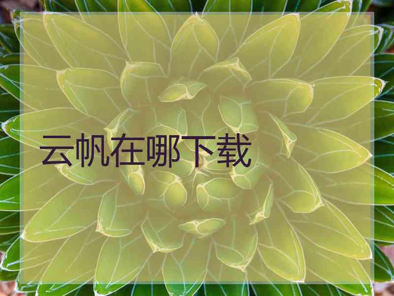 云帆在哪下载