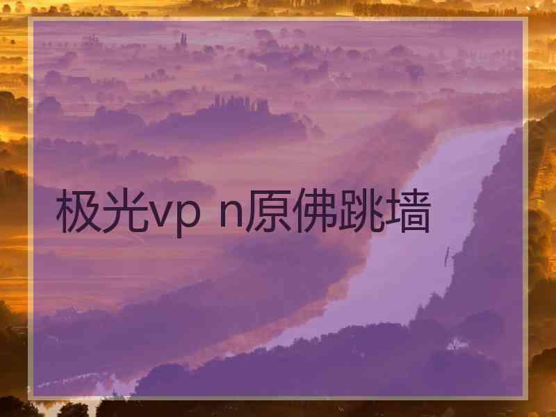 极光vp n原佛跳墙