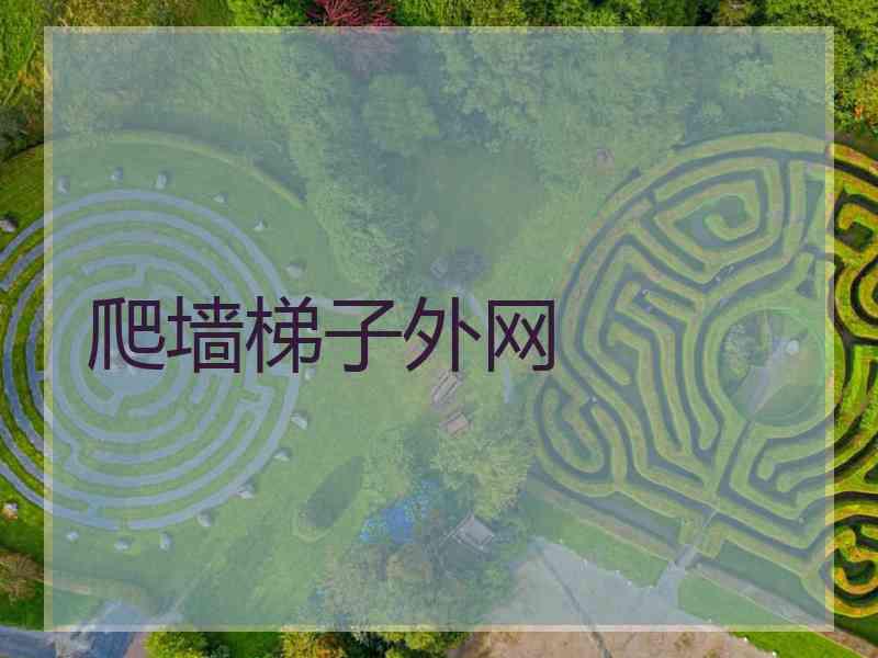 爬墙梯子外网