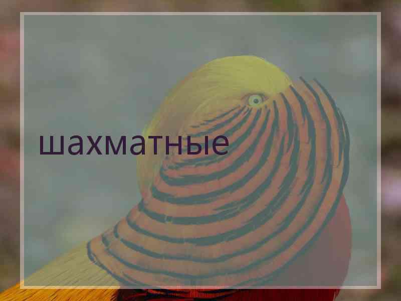 шахматные