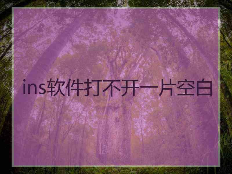 ins软件打不开一片空白