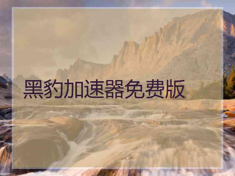 黑豹加速器免费版