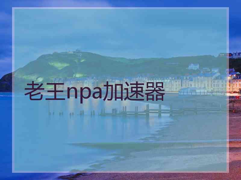 老王npa加速器