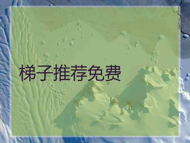 梯子推荐免费