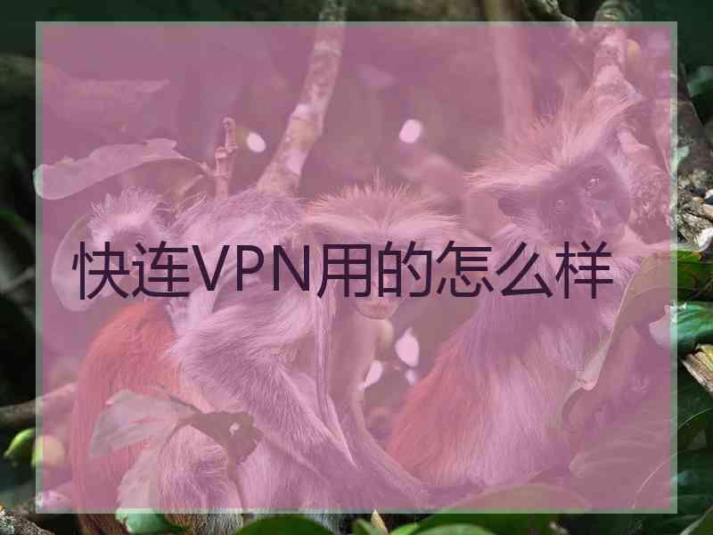 快连VPN用的怎么样