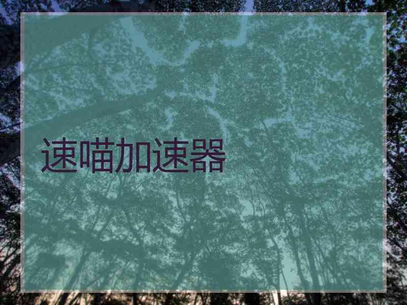 速喵加速器