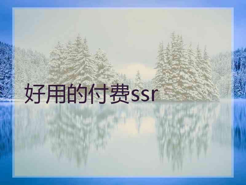 好用的付费ssr