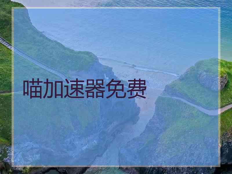 喵加速器免费