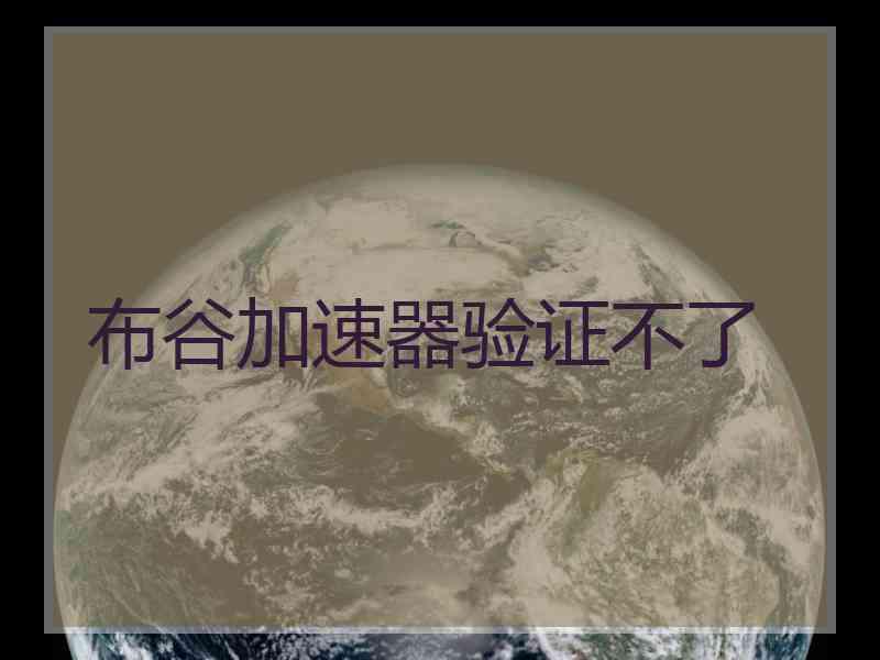 布谷加速器验证不了