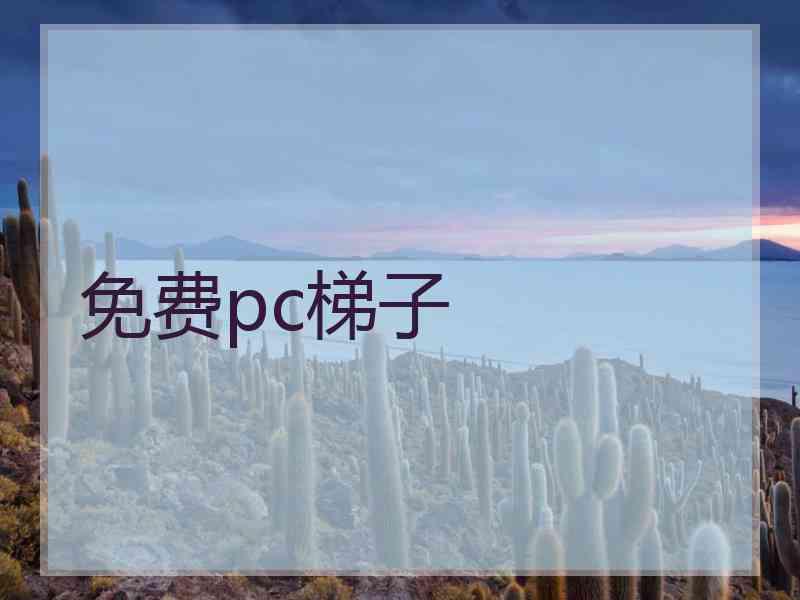 免费pc梯子