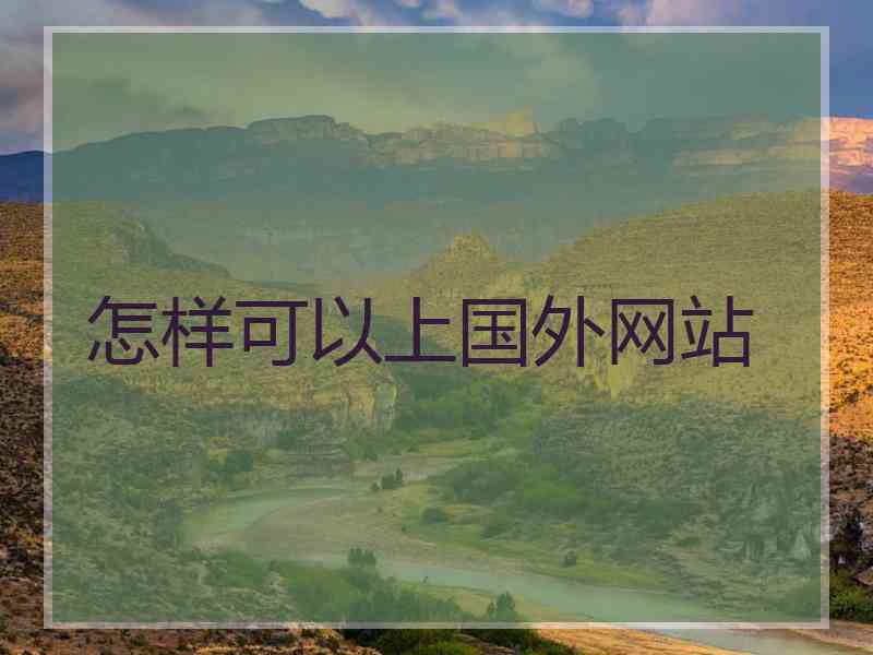怎样可以上国外网站