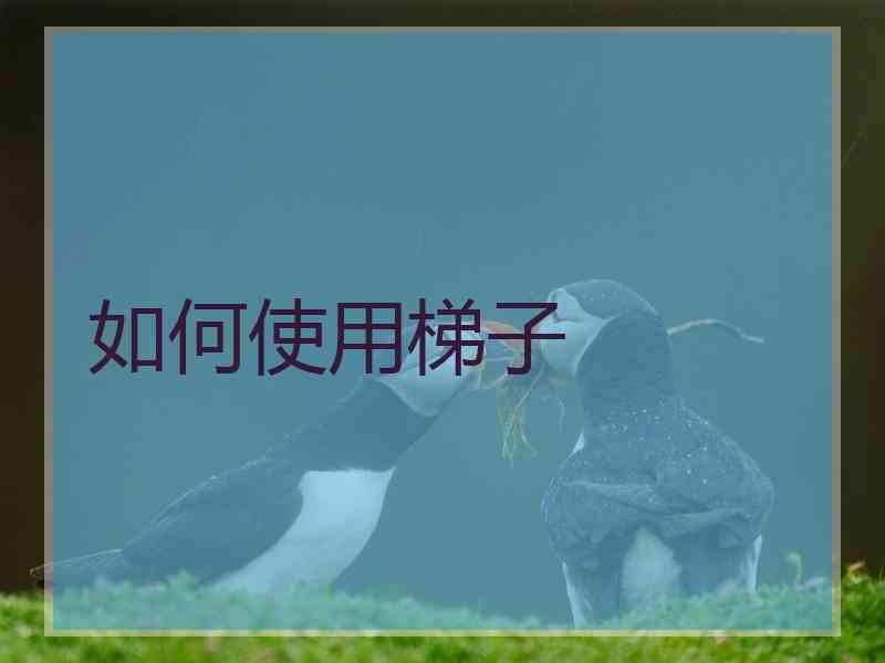 如何使用梯子