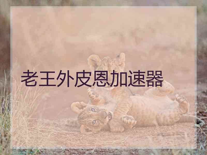 老王外皮恩加速器