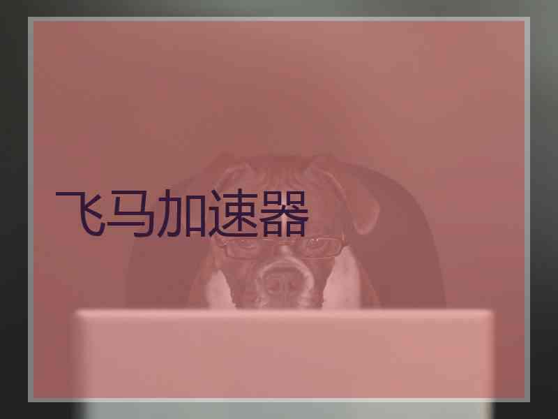 飞马加速器