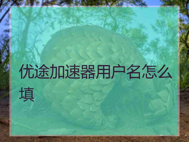优途加速器用户名怎么填