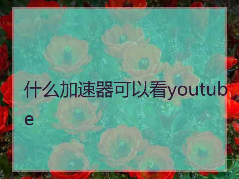 什么加速器可以看youtube