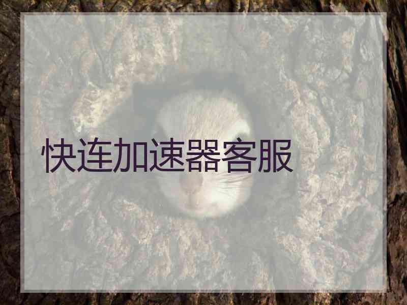 快连加速器客服