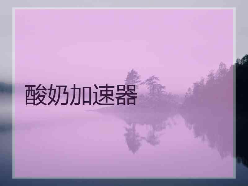 酸奶加速器