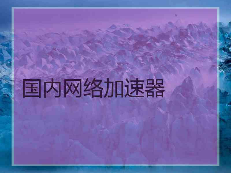 国内网络加速器