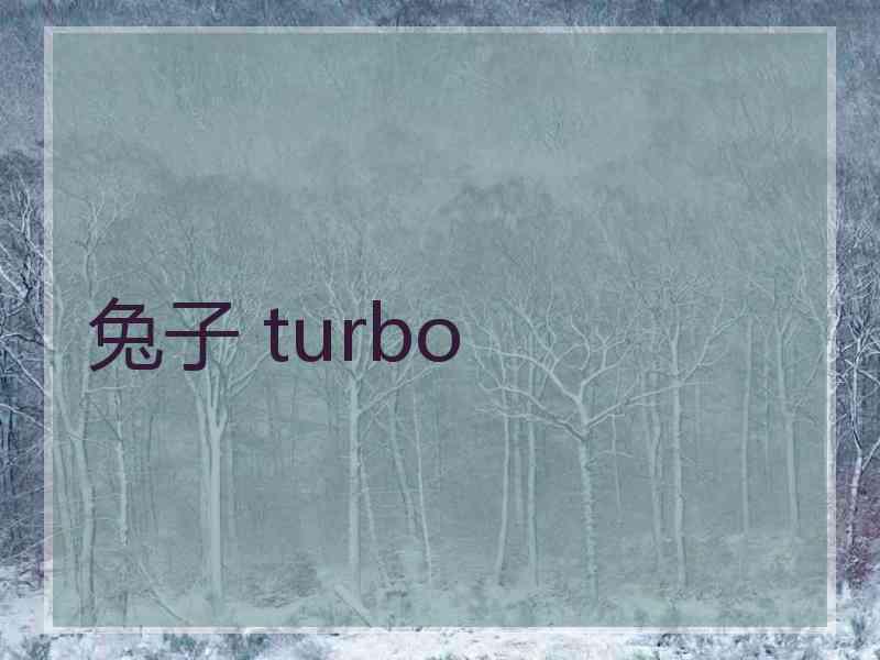 兔子 turbo