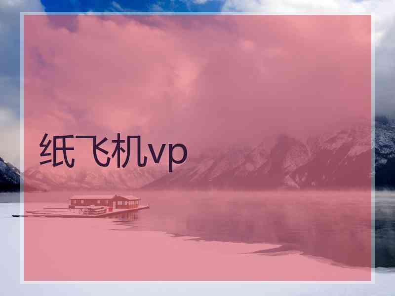 纸飞机vp