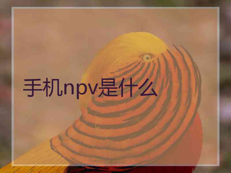 手机npv是什么