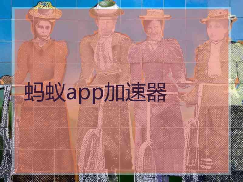 蚂蚁app加速器