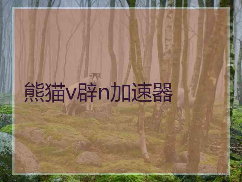 熊猫v辟n加速器