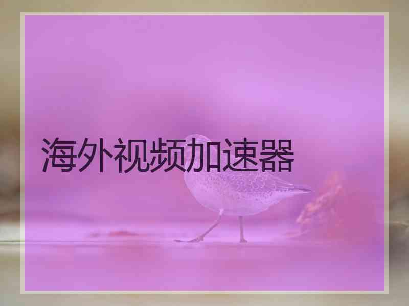 海外视频加速器
