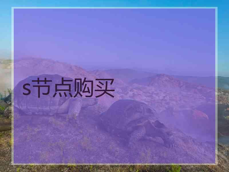 s节点购买