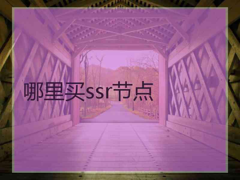 哪里买ssr节点