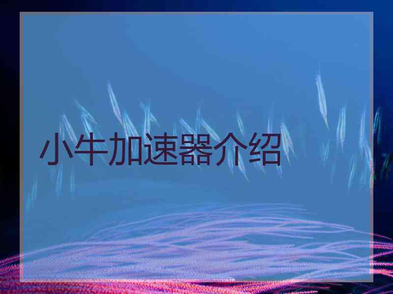 小牛加速器介绍