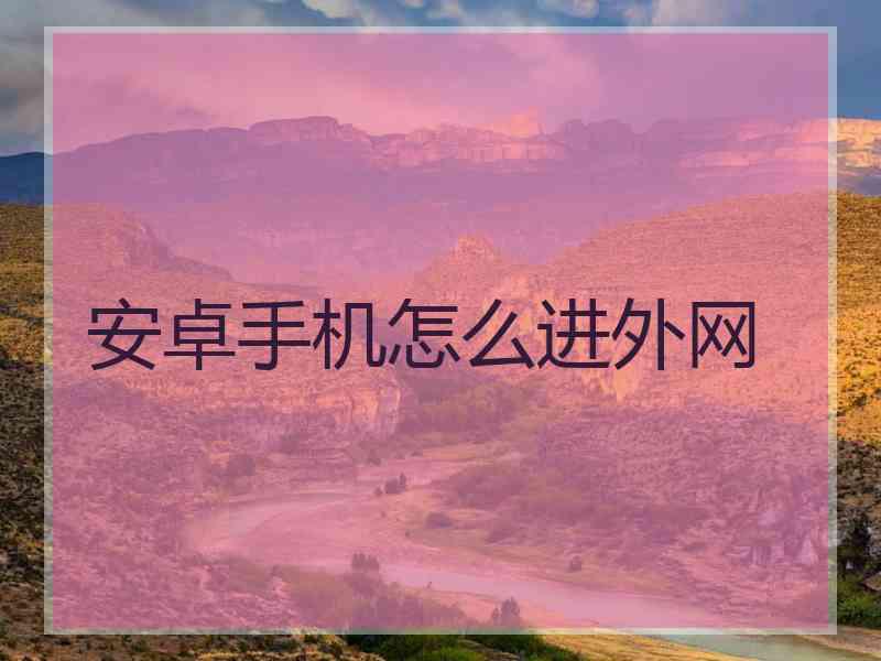 安卓手机怎么进外网