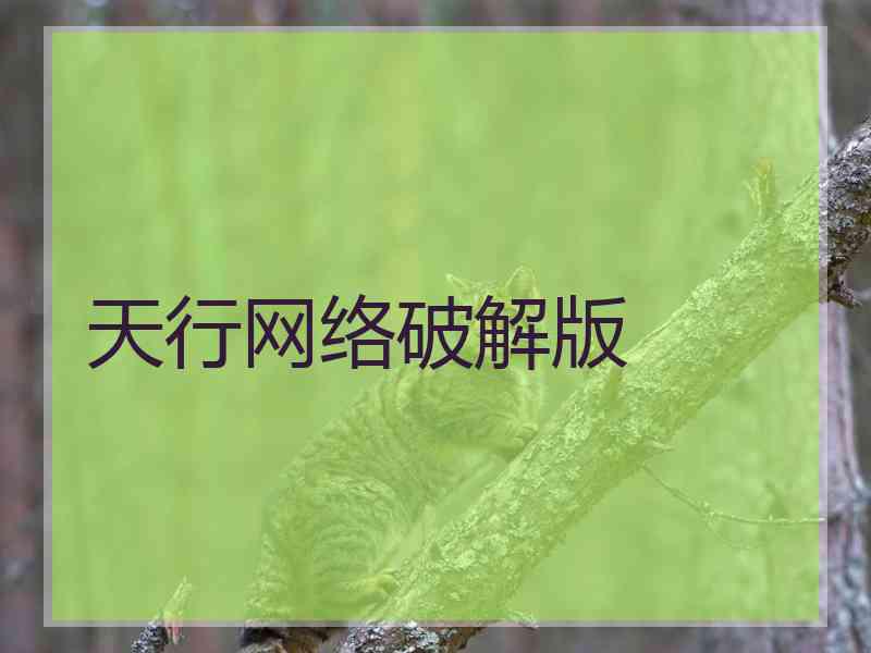 天行网络破解版