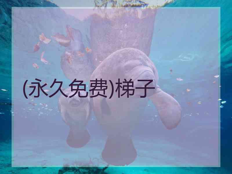 (永久免费)梯子