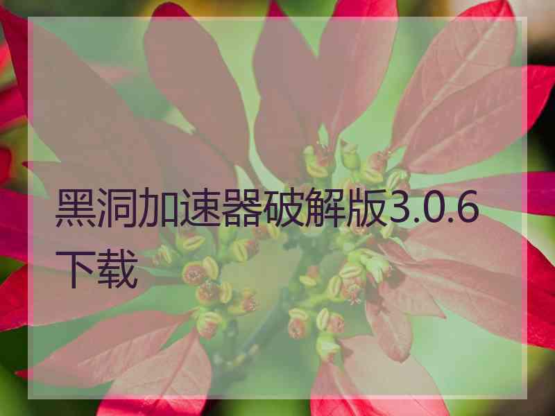 黑洞加速器破解版3.0.6下载