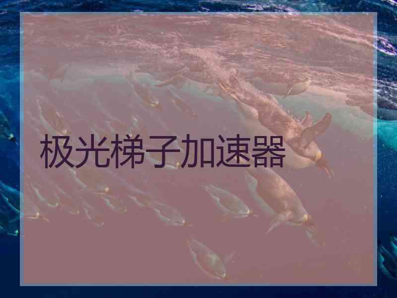 极光梯子加速器
