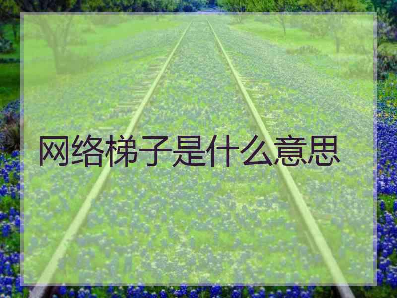 网络梯子是什么意思