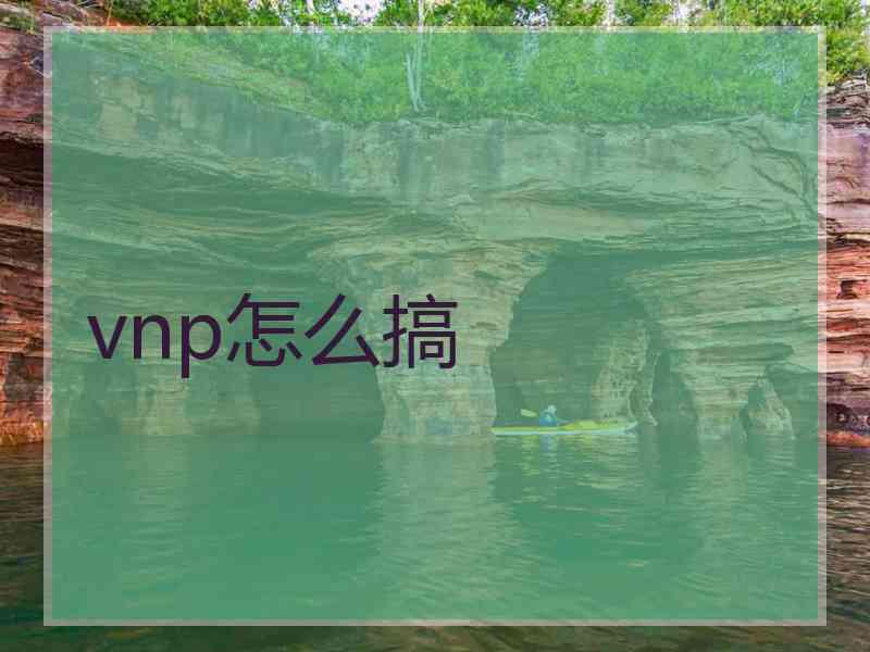 vnp怎么搞