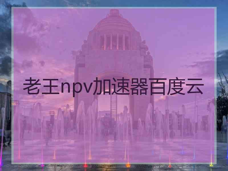 老王npv加速器百度云