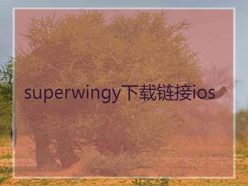 superwingy下载链接ios