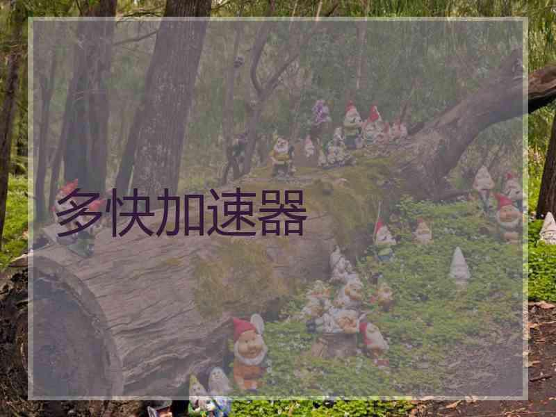 多快加速器