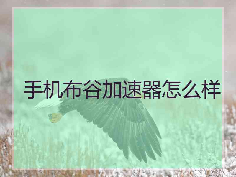 手机布谷加速器怎么样