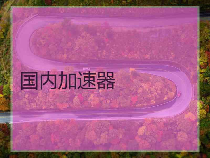 国内加速器
