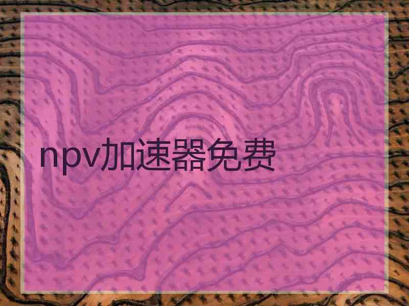 npv加速器免费