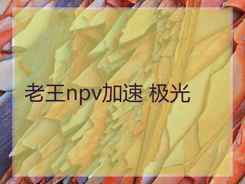 老王npv加速 极光
