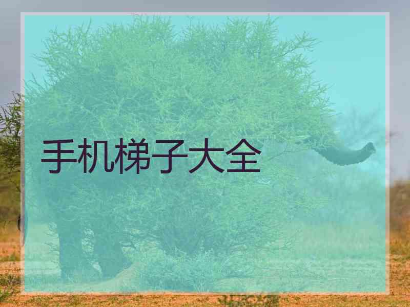 手机梯子大全