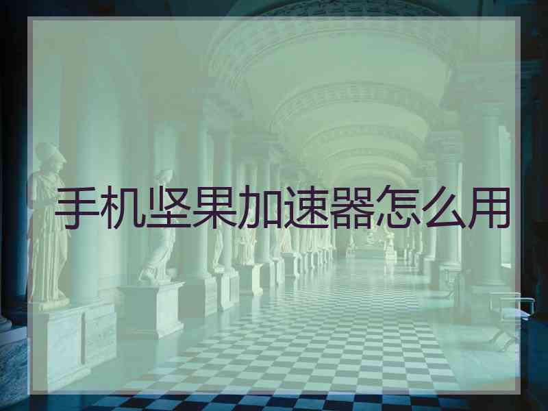 手机坚果加速器怎么用