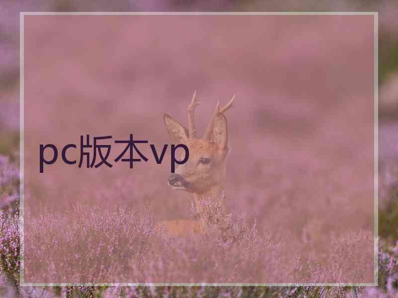 pc版本vp