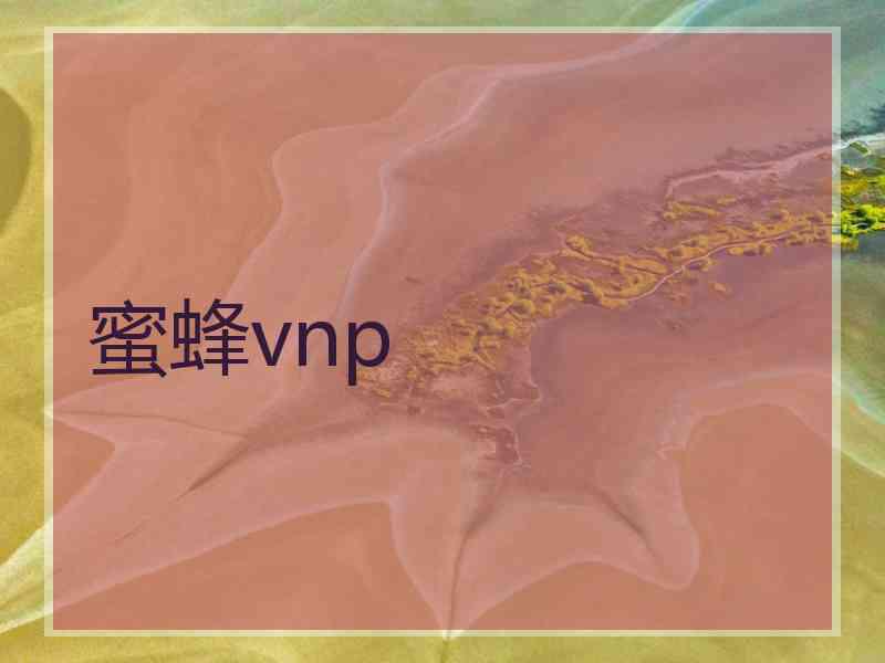 蜜蜂vnp